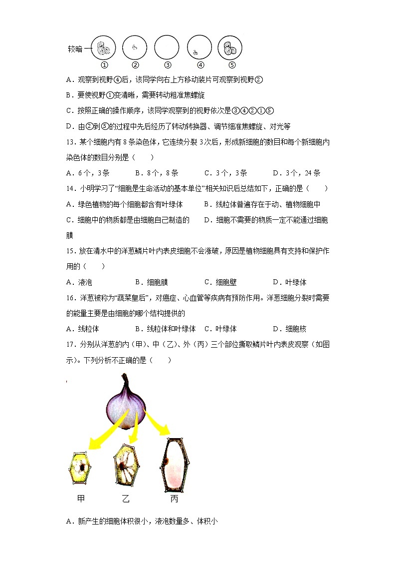 江西省赣州市经开区2021-2022学年七年级上学期期中生物试题（word版 含答案）第3页