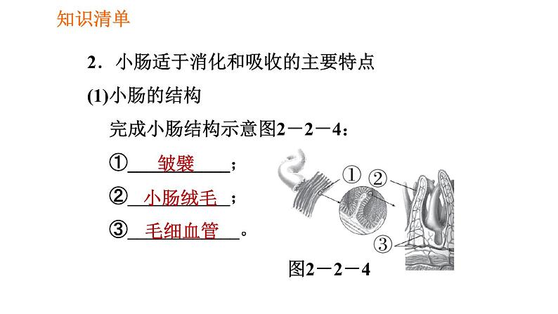 人教版七年级下册生物 第2章 4.2.2.2 营养物质的吸收 习题课件第5页