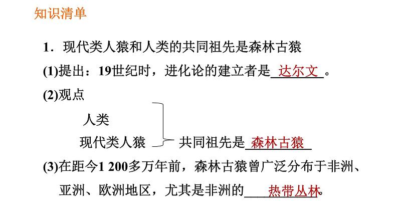 人教版七年级下册生物 第1章 4.1.1 人类的起源和发展 习题课件第2页