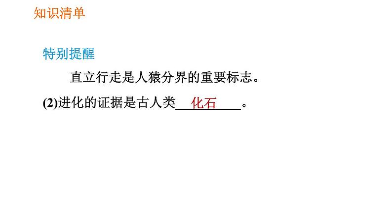 人教版七年级下册生物 第1章 4.1.1 人类的起源和发展 习题课件第4页