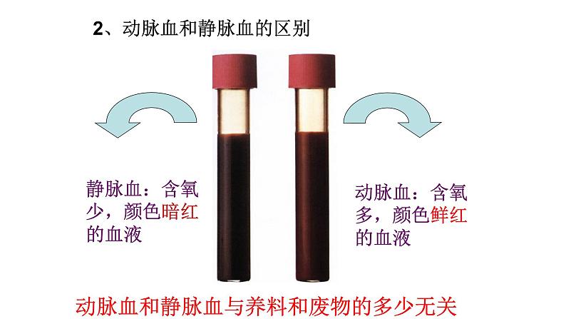 物质运输的路线PPT课件免费下载07