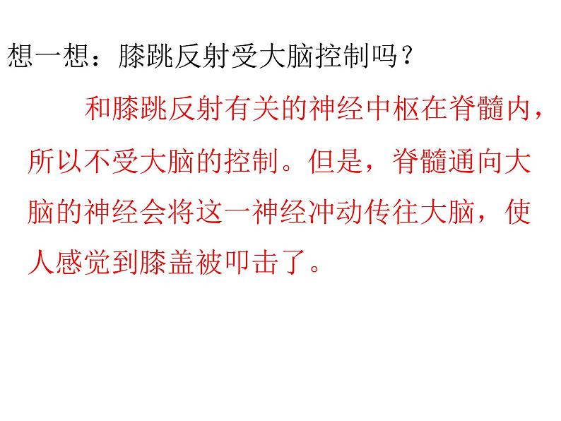 神经调节的基本方式——反射PPT课件免费下载07