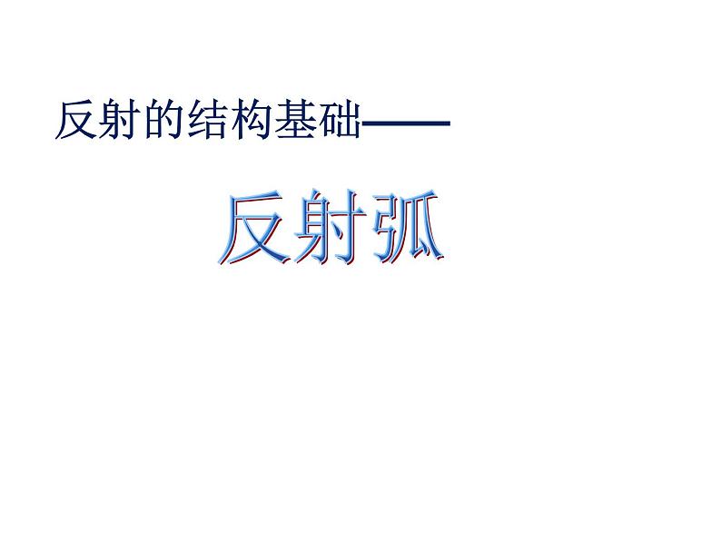 神经调节的基本方式——反射PPT课件免费下载08