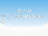 第六章第二节《绿色植物的呼吸》课件
