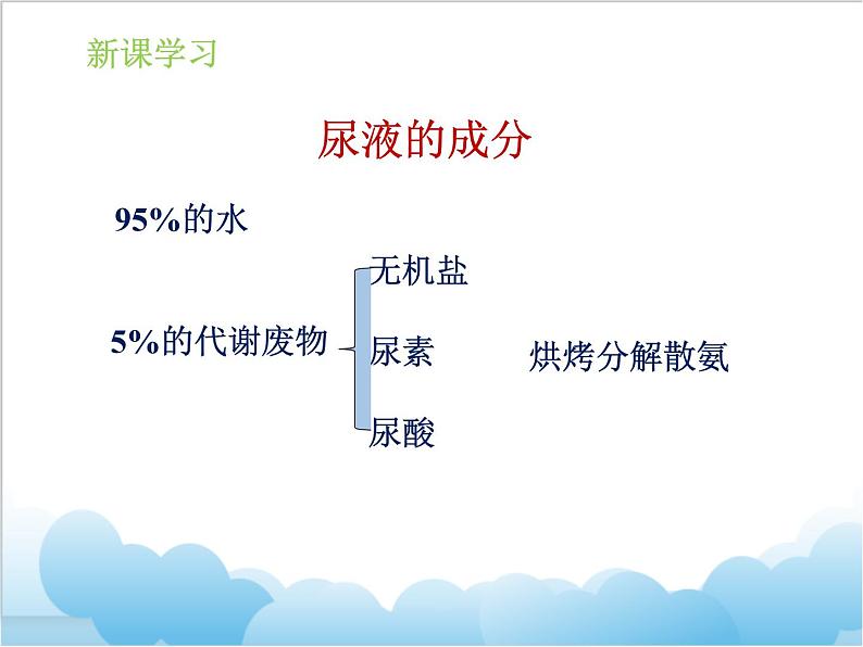 第七章第一节《代谢废物》课件08