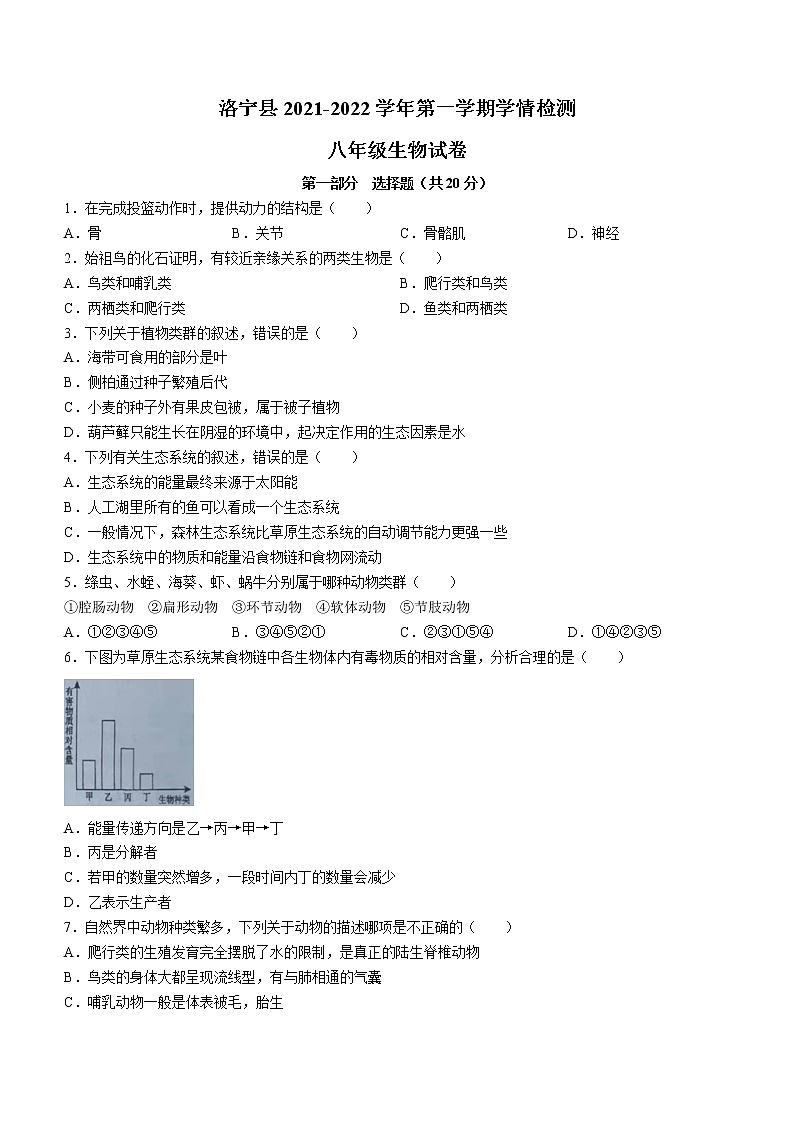 河南省洛阳市洛宁县2021-2022学年八年级上学期期中生物试题（word版 含答案）01
