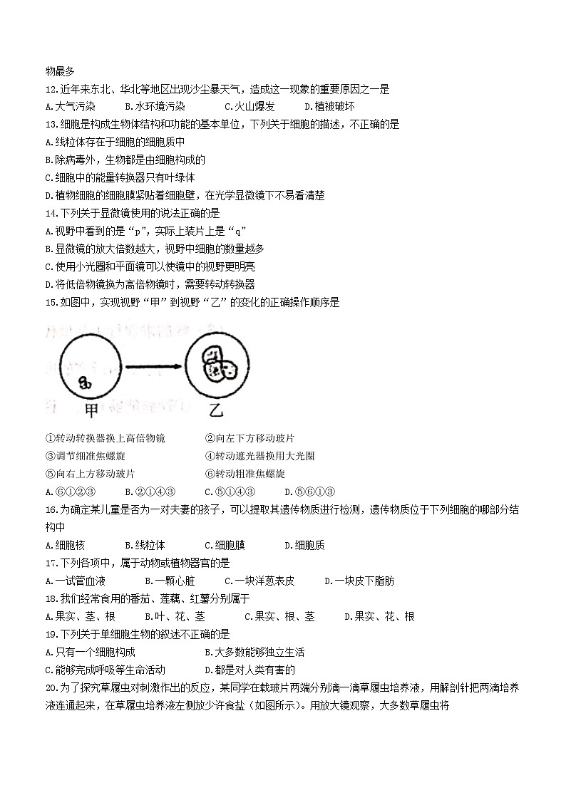河南省漯河市2021-2022学年七年级上学期期中生物试题（word版 无答案）第2页