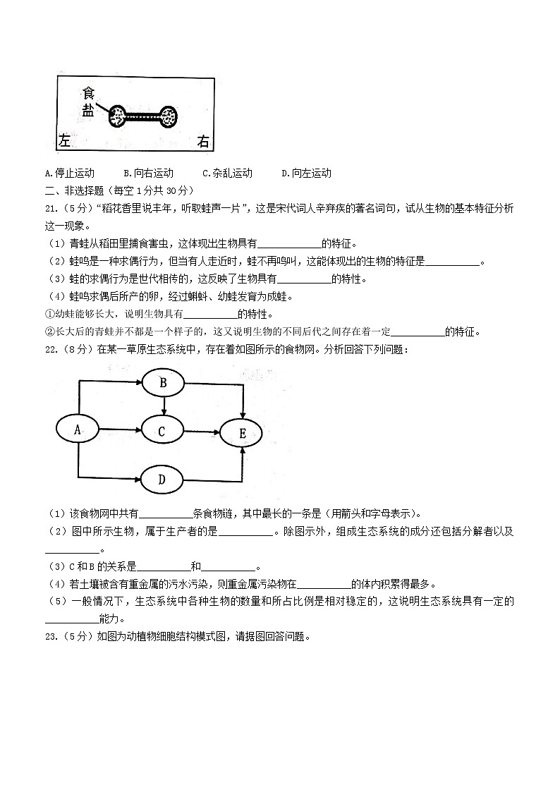 河南省漯河市2021-2022学年七年级上学期期中生物试题（word版 无答案）第3页
