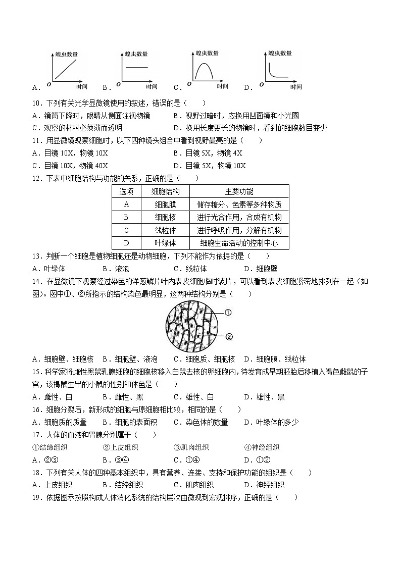 河南省许昌市建安区2021-2022学年七年级上学期期中生物试题（word版 含答案）02