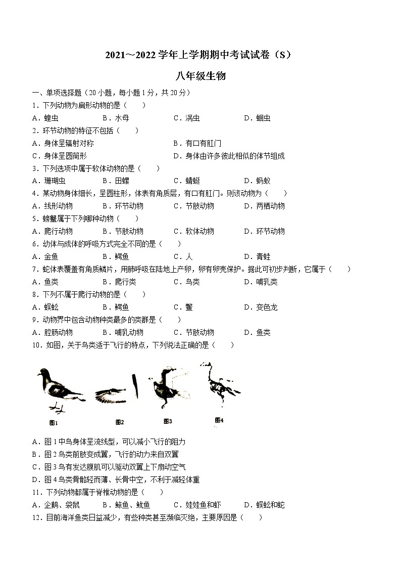 河南省漯河市舞阳县2021-2022学年八年级上学期期中生物试题（word版 含答案）01