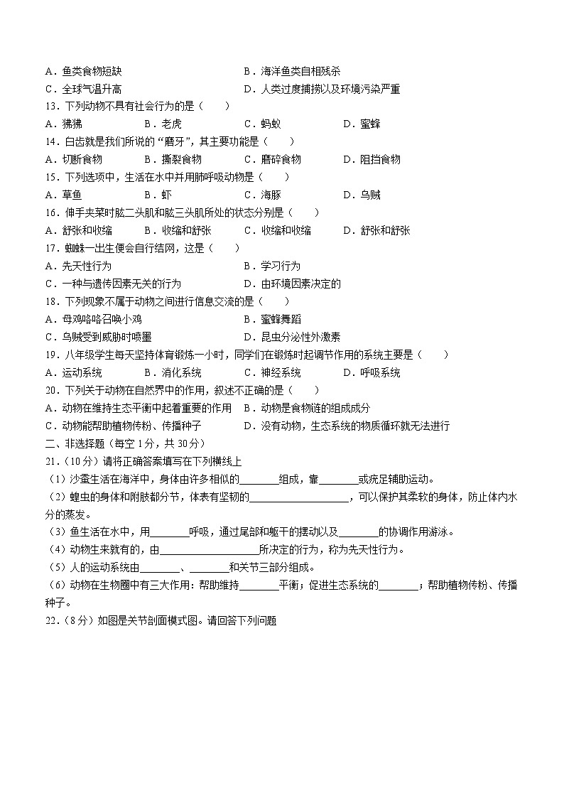 河南省漯河市舞阳县2021-2022学年八年级上学期期中生物试题（word版 含答案）02