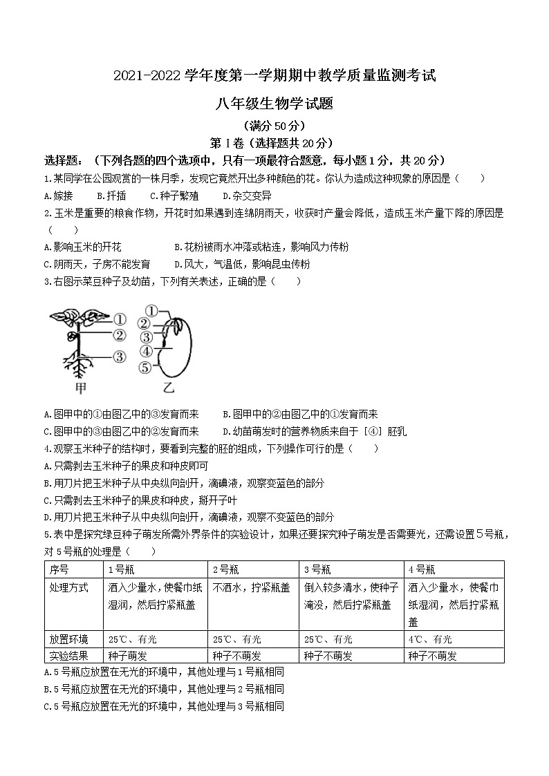 山东省济宁市鱼台县2021-2022学年八年级上学期期中生物试题（word版 含答案）01