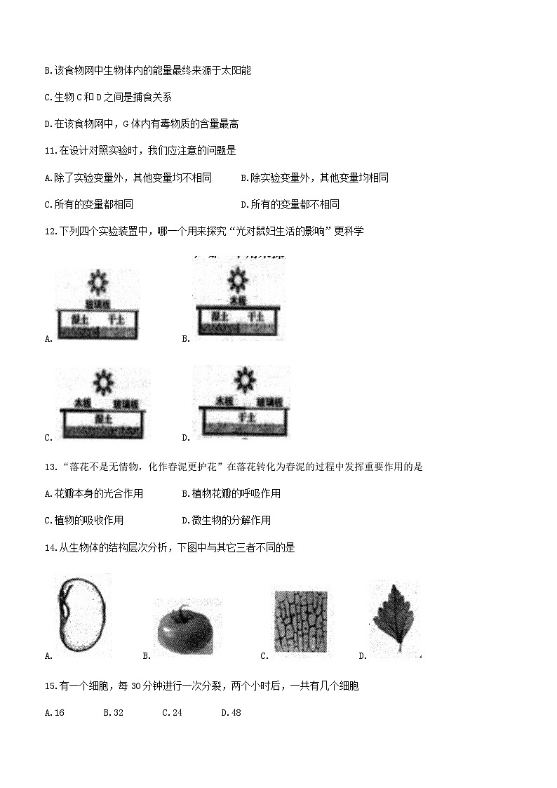 河南省南阳市社旗县2021-2022学年七年级上学期期中生物试题（word版 含答案）第3页