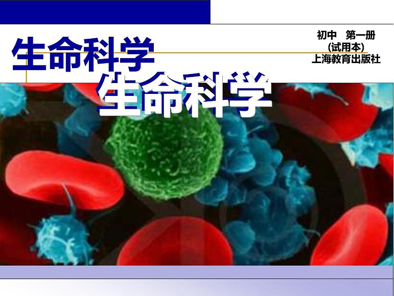 1.1.2人体是怎样构成的 课件 上海版生命科学八年级上册（20张ppt）01