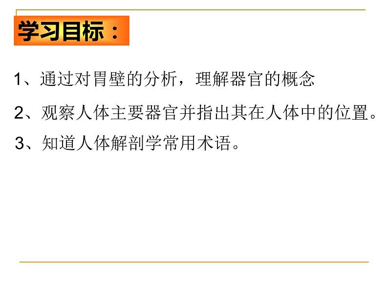 1.1.2人体是怎样构成的 课件 上海版生命科学八年级上册（20张ppt）03