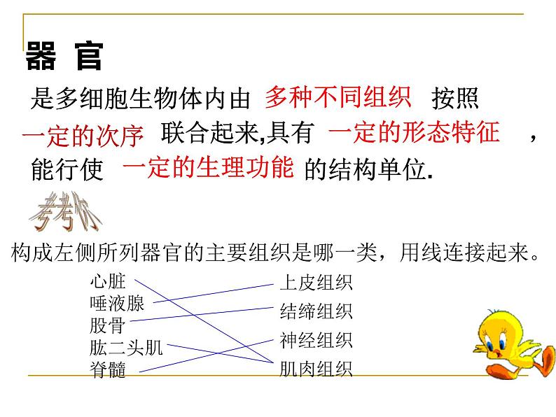 1.1.2人体是怎样构成的 课件 上海版生命科学八年级上册（20张ppt）07