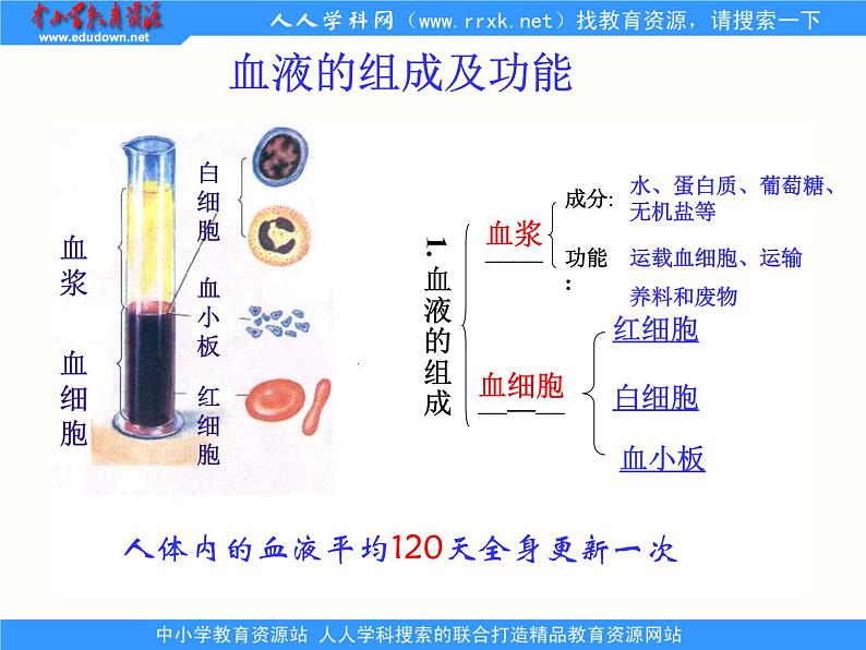 1.2.1人体生命活动需要的环境条件 课件 上海版生命科学八年级上册（32张ppt）05