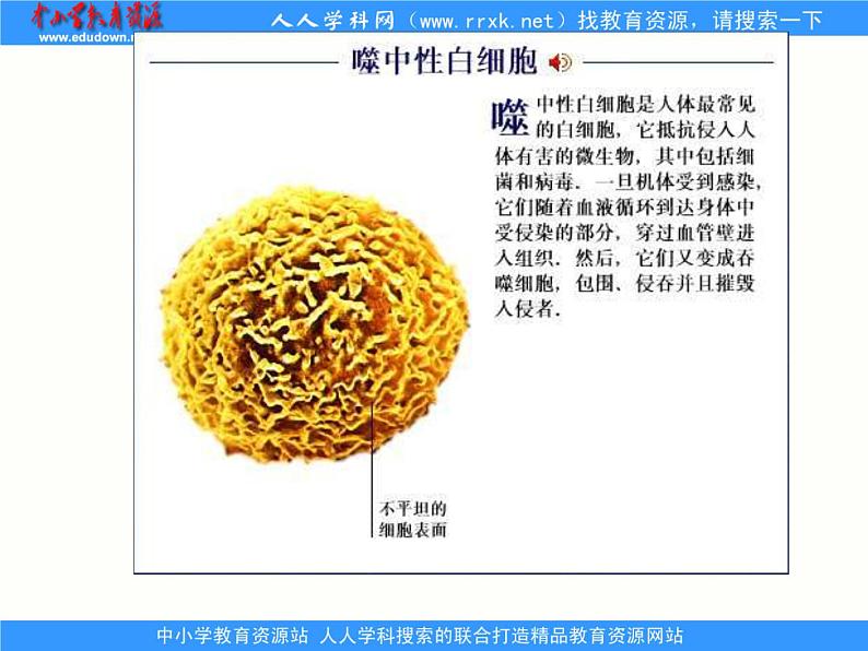 1.2.1人体生命活动需要的环境条件 课件 上海版生命科学八年级上册（32张ppt）06