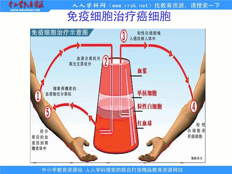 1.2.1人体生命活动需要的环境条件 课件 上海版生命科学八年级上册（32张ppt）08