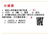 1.1.3人体是怎样构成的 课件 上海版生命科学八年级上册（24张ppt）