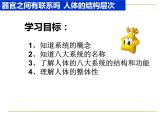 1.1.3人体是怎样构成的 课件 上海版生命科学八年级上册（24张ppt）