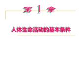 1.1.1人体是怎样构成的 课件 上海版生命科学八年级上册（26张ppt）