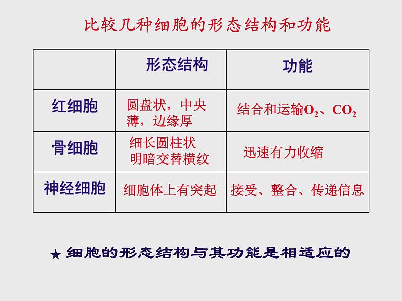 1.1.6人体是怎样构成的 课件 上海版生命科学八年级上册（13张ppt）第5页