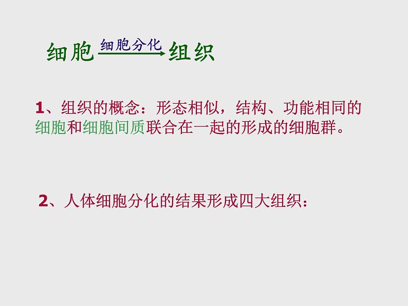 1.1.6人体是怎样构成的 课件 上海版生命科学八年级上册（13张ppt）第6页