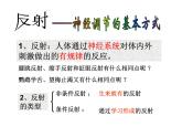 上海版八年级上册生物  2.1.3 神经调节的基本方式--反射 课件   (共15张PPT)