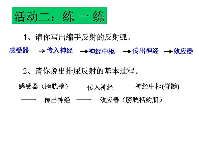 上海版八年级上册生物  2.1.3 神经调节的基本方式--反射 课件   (共15张PPT)06