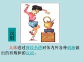 上海版八年级上册生物  2.1.3 神经调节的基本方式--反射 课件   (共17张PPT)