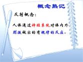 上海版八年级上册生物  2.1.3 神经调节的基本方式--反射 课件   (共25张PPT)