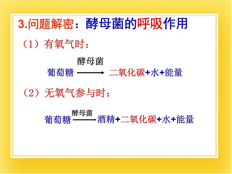 第十六章第二节《现代生物技术的发展》 课件第6页