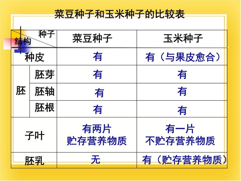 第十三章第四节《植物》课件08