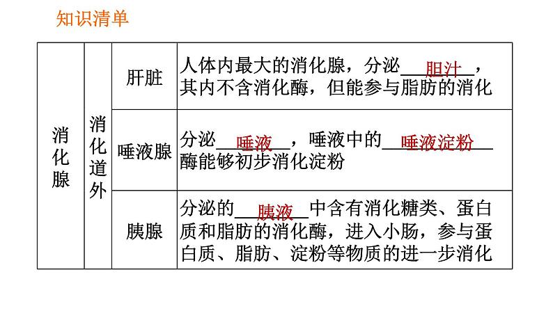 人教版七年级下册生物 第2章 4.2.2.1 食物的消化 习题课件05