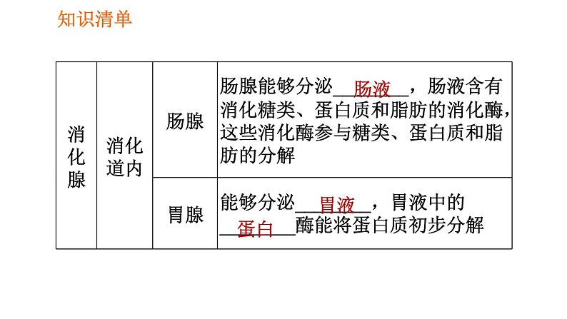 人教版七年级下册生物 第2章 4.2.2.1 食物的消化 习题课件06