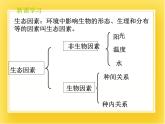 第十四章第一节《环境对生物的影响》课件