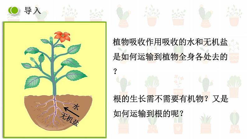 第五章第五节 运输作用课件PPT01