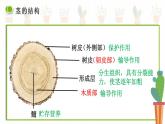 第五章第五节 运输作用课件PPT