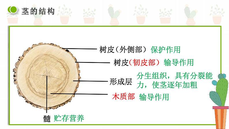 第五章第五节 运输作用课件PPT03