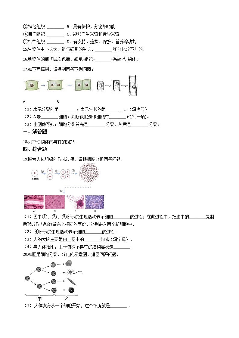 沪教版八年级上册生命科学 1.1人体是怎样构成的 练习题第2页