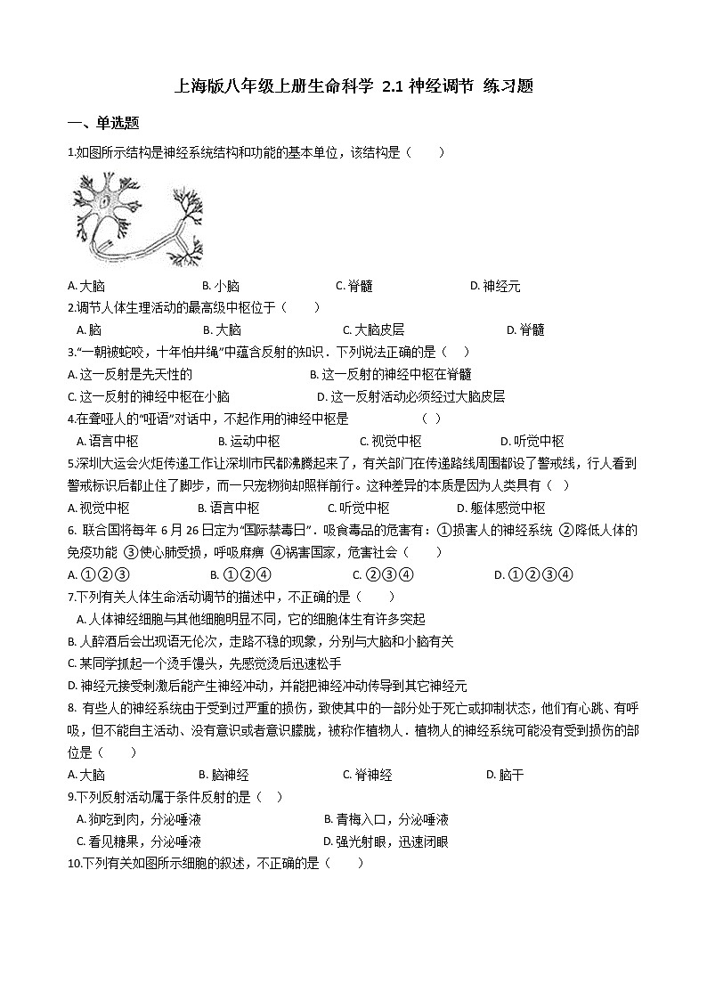 沪教版八年级上册生命科学 2.1神经调节 练习题01