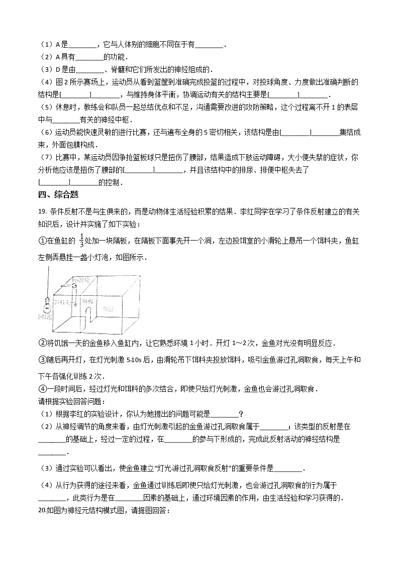 沪教版八年级上册生命科学 2.1神经调节 练习题03