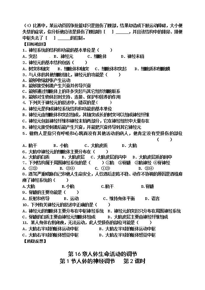 苏科版八年级生物上册导学案：16.1 人体的神经调节02