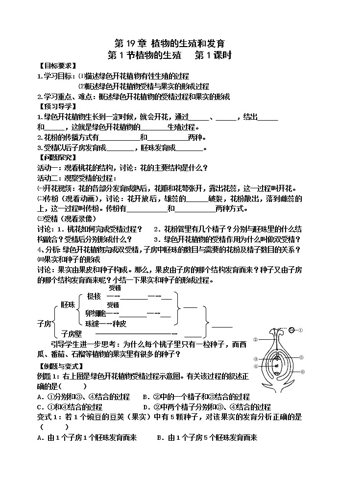 苏科版八年级生物上册导学案：19.1 植物的生殖01