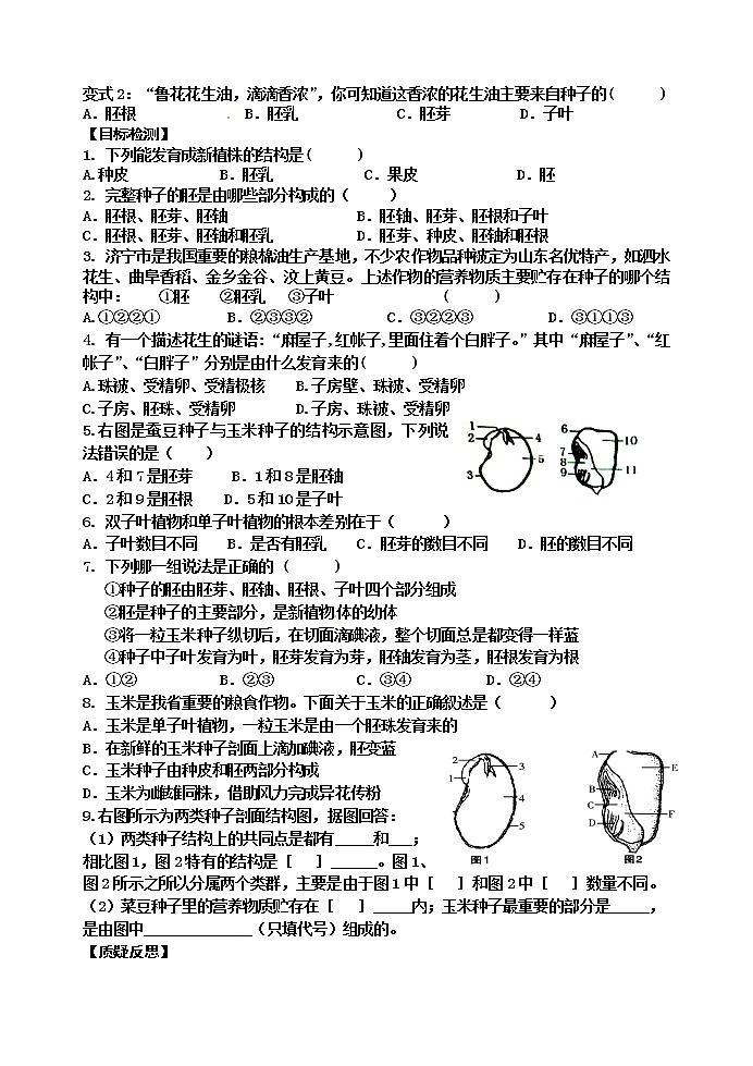 苏科版八年级生物上册导学案：19.2 植物的生长发育02