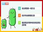 1.2 调查周边环境中的生物   课件 2021--2022学年人教版七年级生物上册