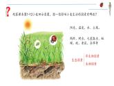 1.2.1 生物与环境的关系 课件 2021——2022学年人教版生物七年级上册