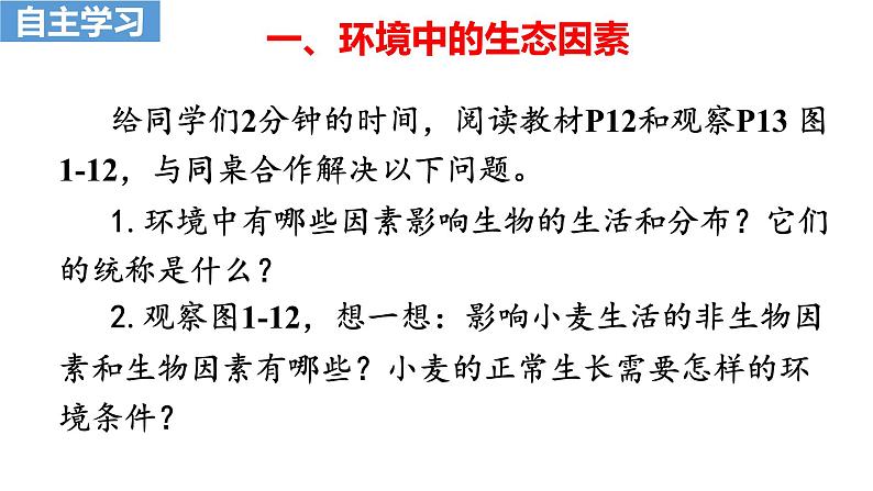 第一节  生物与环境的关系第3页