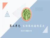 2.2.4 单细胞生物  课件  2021-2022学年人教版七年级生物上册